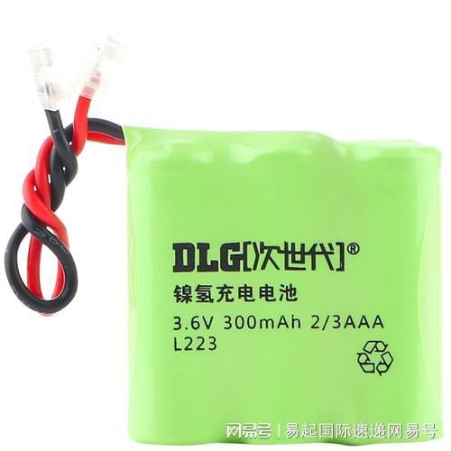 可以寄電池到國外嗎